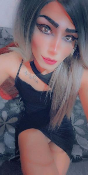 i'm nicole 
I am 26 years old from Amman 
Shemil 
I love massage, sex and pleasure. 