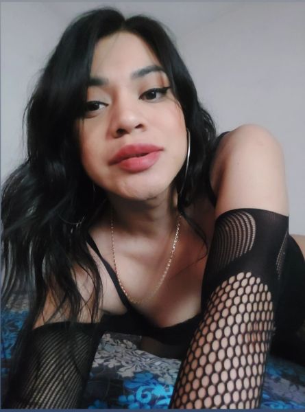 Soy nena Transgénero (MUJER CON PENE) Instagram @KendyTrans_ Telegram @KendyTrans12 WhatsApp 48992428 soy 100%Real femenina, higiénica , complaciente discreta

Ofrezcomiservicios a clientes serios y con solvencia económica si eres de los q solo me hacen perder mi tiempo no escriban gracias 