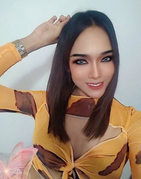 Hi Am Amily Rose ladyboy from Thailand
25 year old live in Dubai
I make good service am can top and bottom happy time for you if u want happy ending

u can add WhatApp me +66nine6ninesixone3442
And +971501zero48zero69

Let's create happiness and fun together 🙏🌹