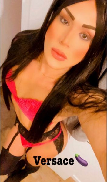 Hello, my name is versace 

I am a trans girl of 23 years with a body of beautiful complete therapies, ultra feminine (Voice, Face and Body), 1m79 SEXY ...!

You are looking to please yourself and to be happy in your hands

Hello all the men loving the